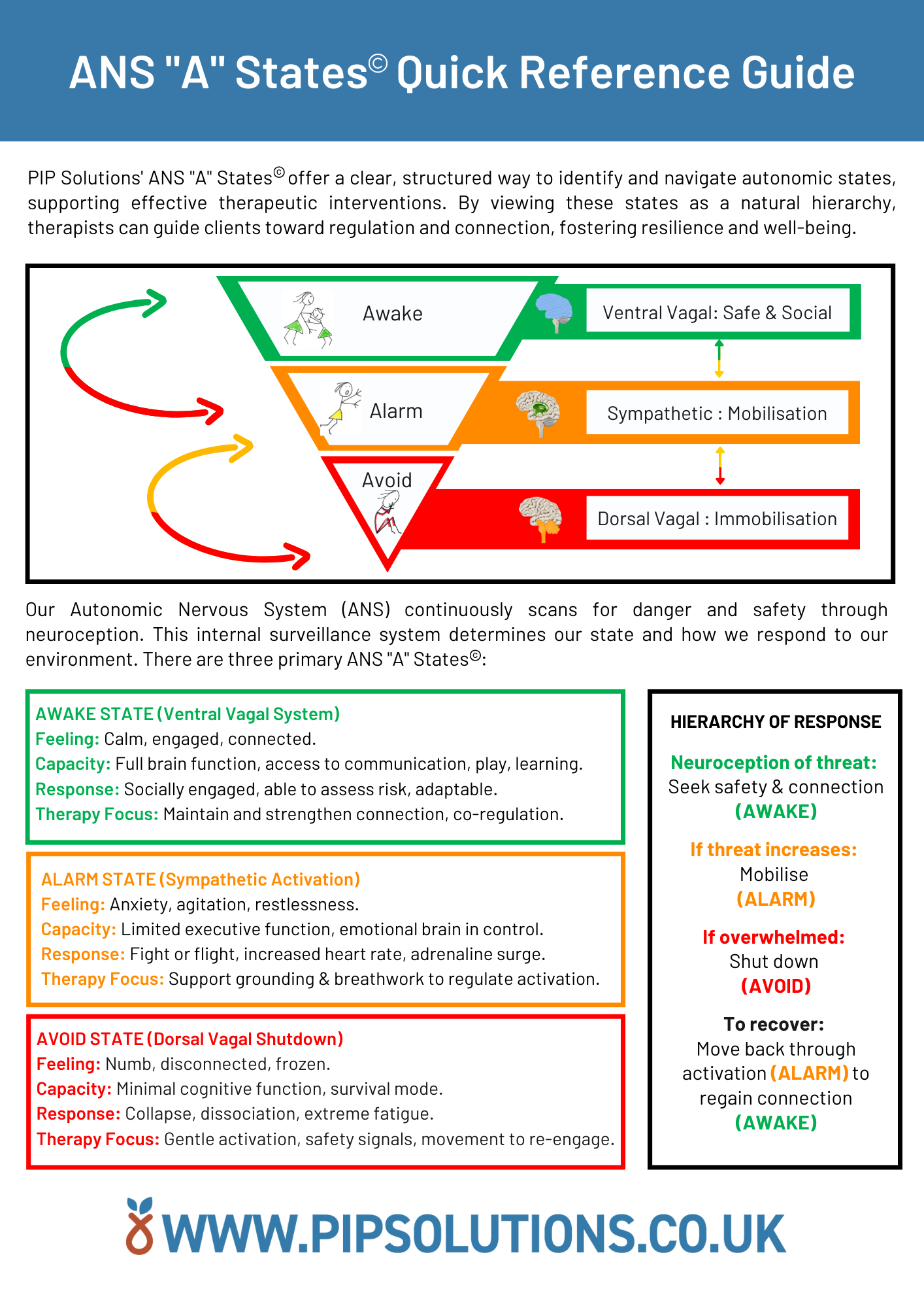 Clinical Tools | PIP Solutions