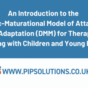 An Introduction to the DMM for Therapists working with Children and Young People