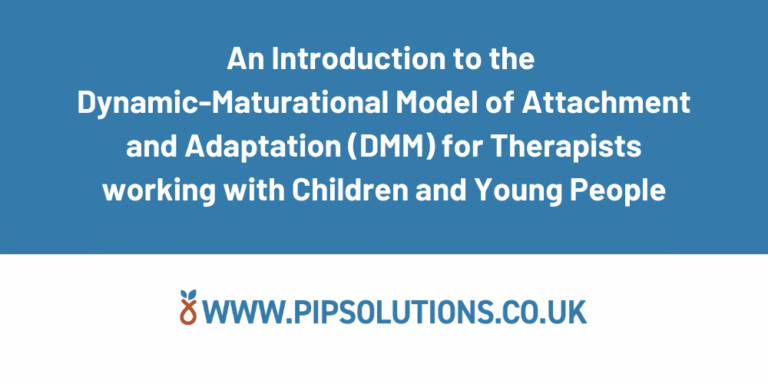 An Introduction to the DMM